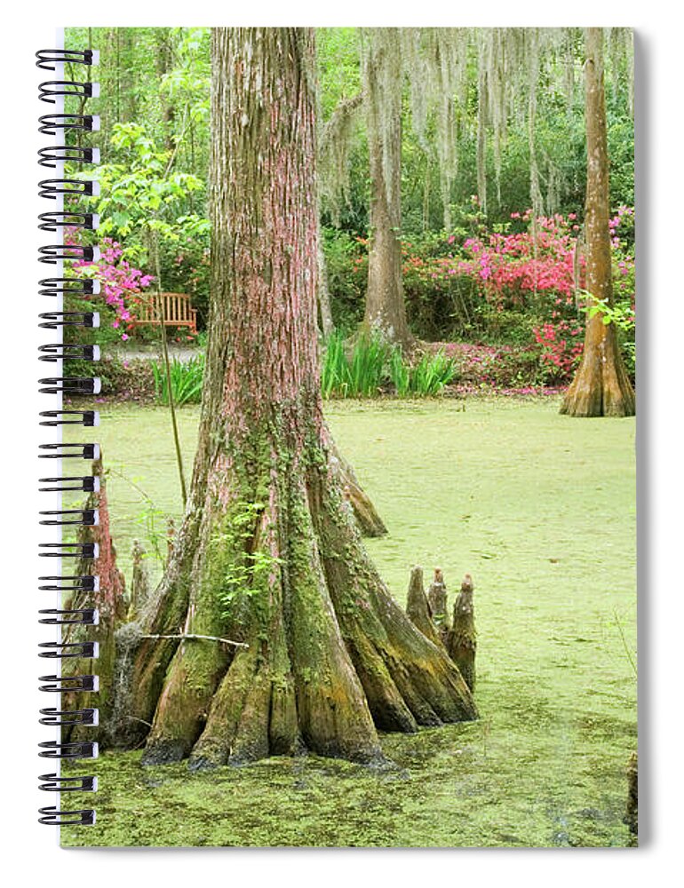 Outdoors Spiral Notebook featuring the photograph Cypress Swamp by Tony Sweet