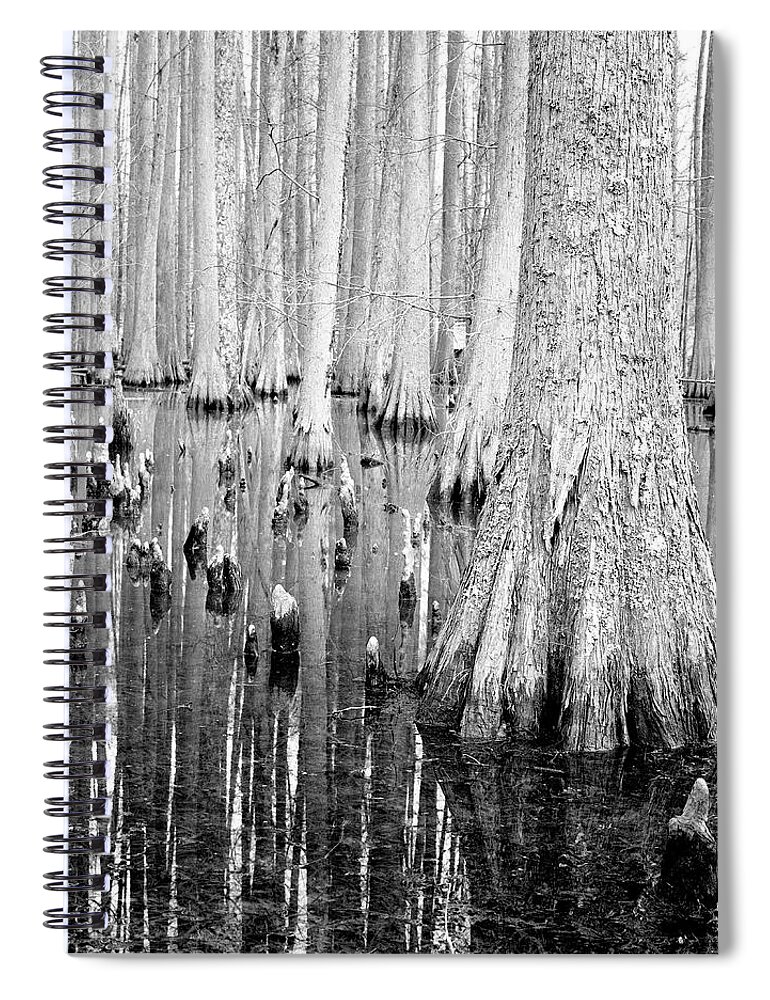 Tranquility Spiral Notebook featuring the photograph Cypress Trees With Reflection In River by Holden Richards