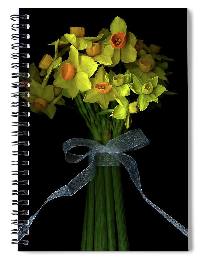 Black Background Spiral Notebook featuring the photograph Daffodils by Photograph By Magda Indigo