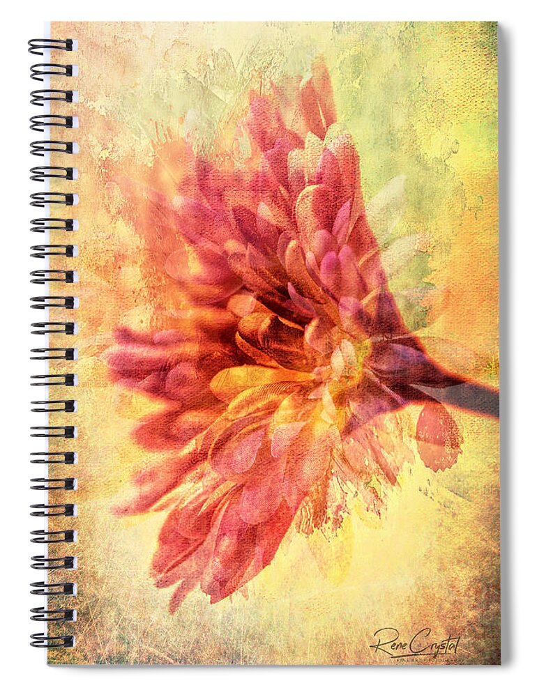 Dahlias Spiral Notebook featuring the photograph Dahlia Splash by Rene Crystal