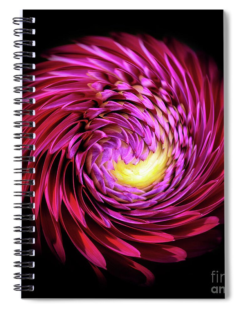 Dahlia Spiral Notebook featuring the photograph Dahlia Twirl by Anita Pollak