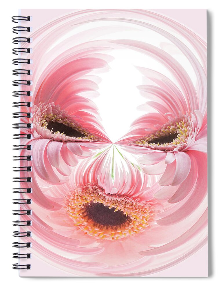 Daisy Orb Spiral Notebook featuring the photograph Daisy Orb by Patty Colabuono