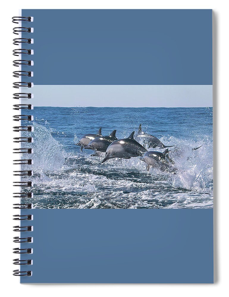 California Spiral Notebook featuring the photograph Dancing Dolphins by Cheryl Strahl
