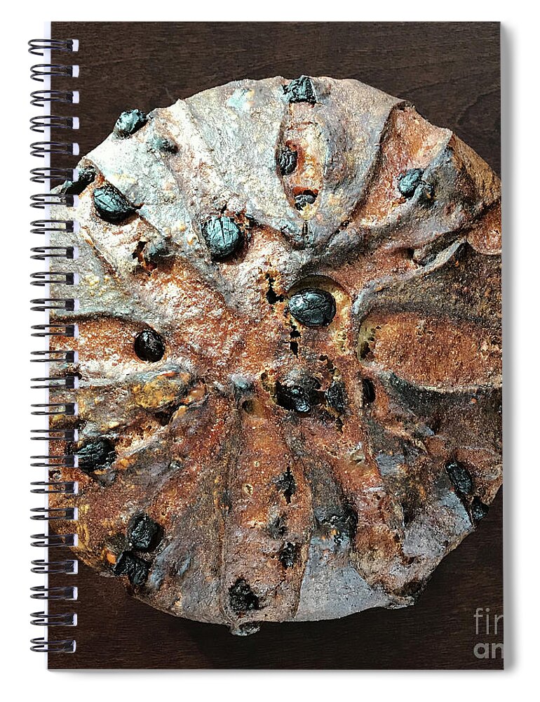 Bread Spiral Notebook featuring the photograph Dark Chocolate Chip, Walnut, Whole Grain Rye Sourdough 2 by Amy E Fraser