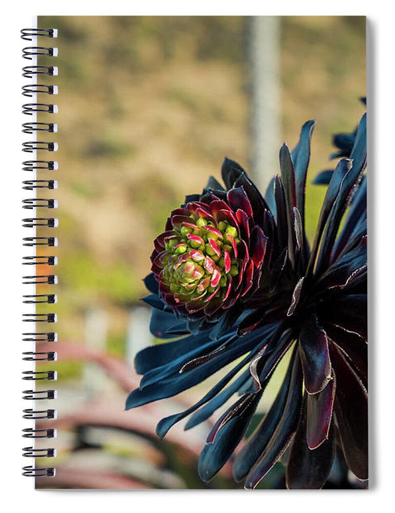 Plant Spiral Notebook featuring the photograph Dark flower by Agnes Caruso