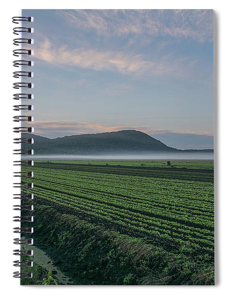 Landscape Spiral Notebook featuring the photograph Dawn and Fog Over the Farmland by Angelo Marcialis
