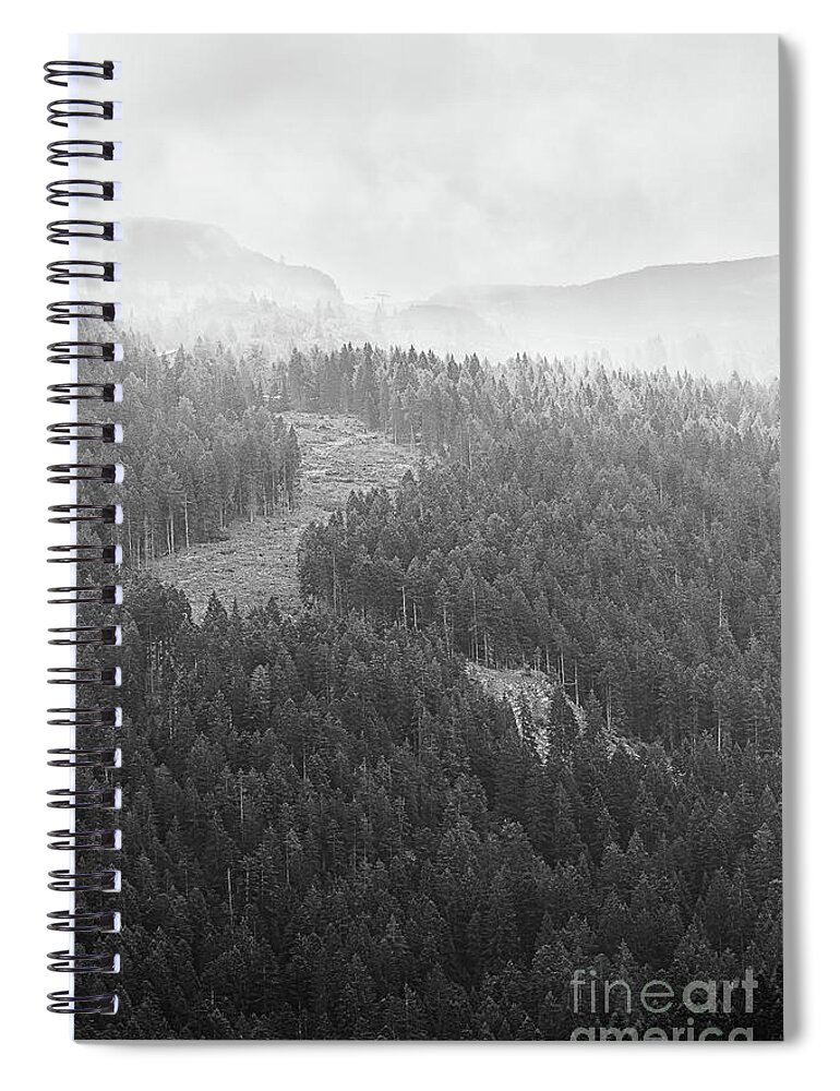 Tree Spiral Notebook featuring the photograph Dawn in the mountains by The P