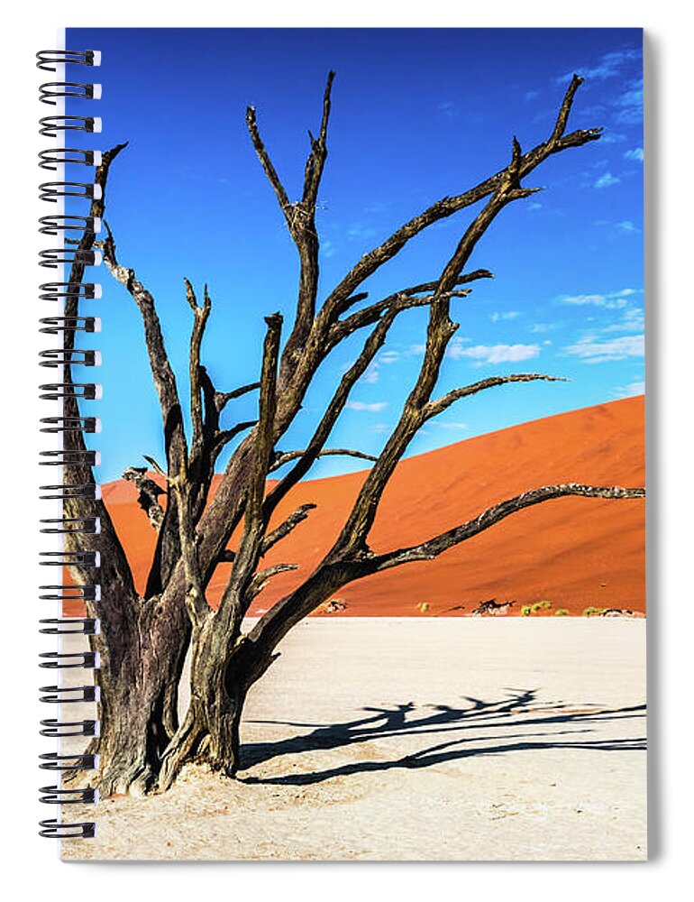 Deadvlei Spiral Notebook featuring the photograph Dead tree in Deadvlei, Namibia by Lyl Dil Creations