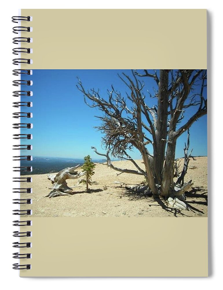 Deadwood Spiral Notebook featuring the photograph Deadwood Whispering Secrets by Michelle Stevens