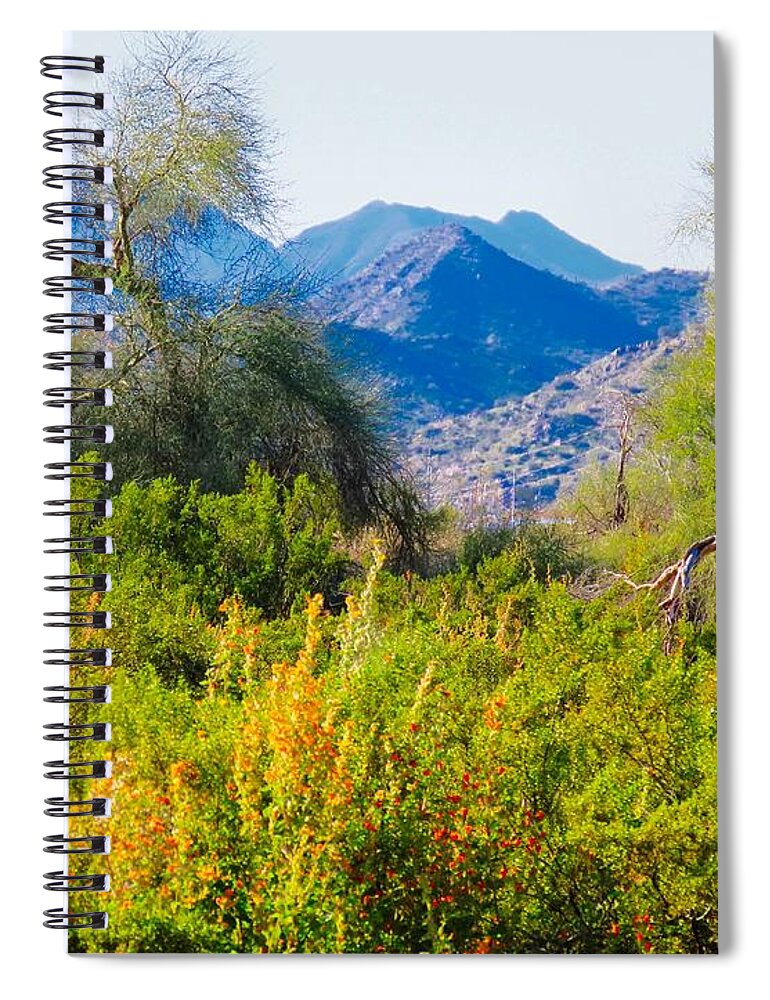 Arizona Spiral Notebook featuring the photograph Deep Desert Valley in a Sonoran Desert Spring by Judy Kennedy