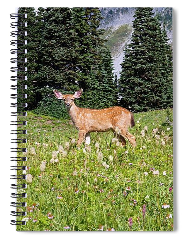 Alertness Spiral Notebook featuring the photograph Deer Cervidae In Paradise Park In Mt by Design Pics / Craig Tuttle