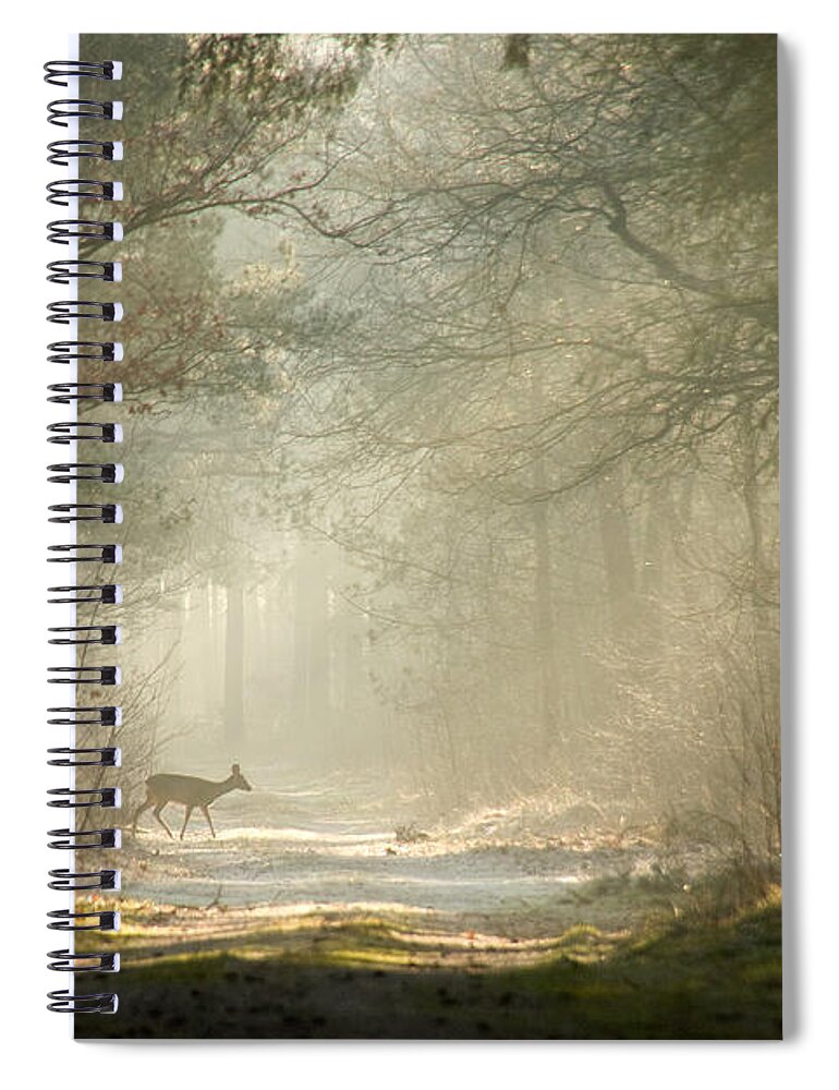 Scenics Spiral Notebook featuring the photograph Deer by Dewollewei