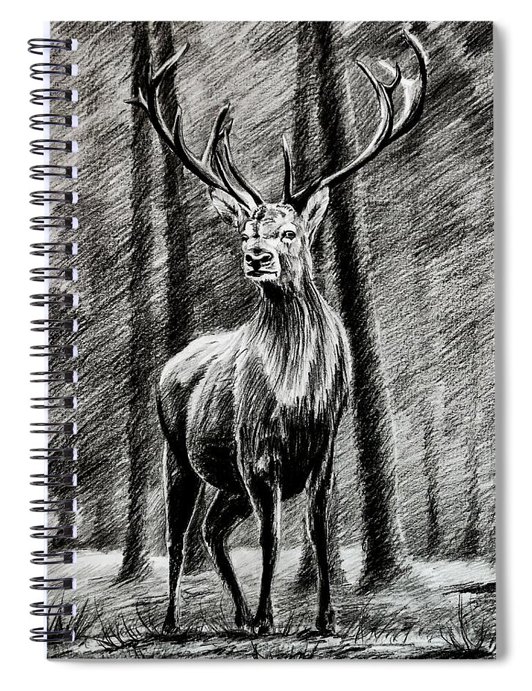 deer in a forest drawing charcoal and pencil art tyshenko