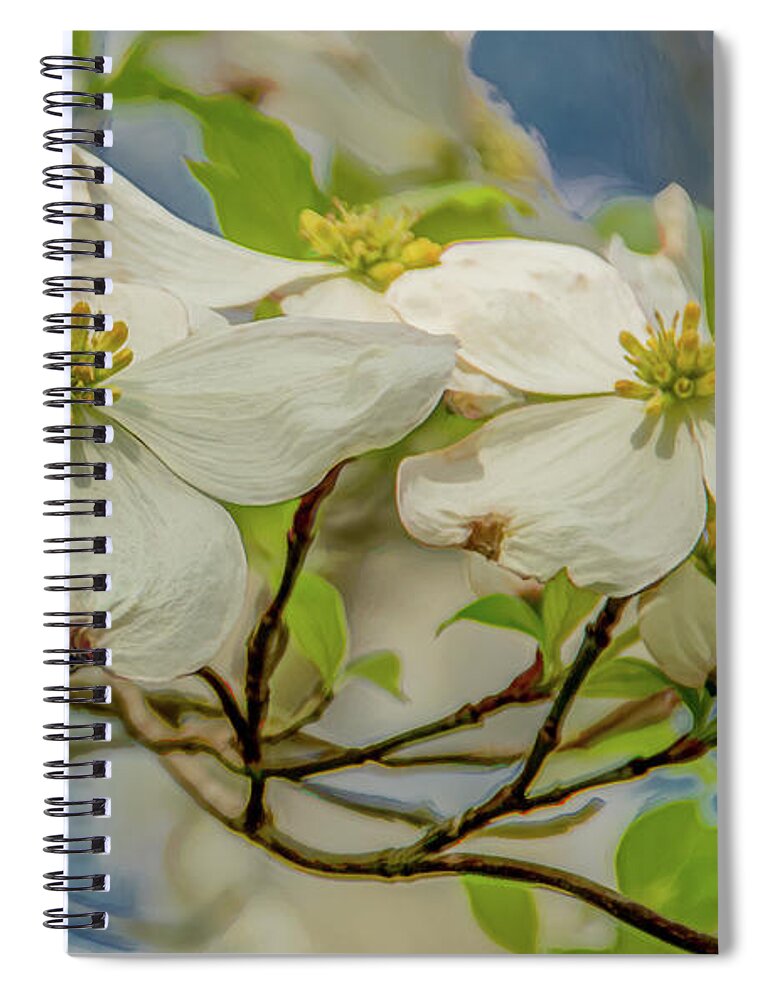 Dogwood Blossoms Spiral Notebook featuring the photograph Delicate Dogwoods by Marcy Wielfaert