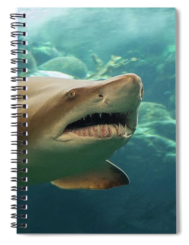 Shark Spiral Notebook featuring the photograph Denizen Of The Deep by Larry Linton