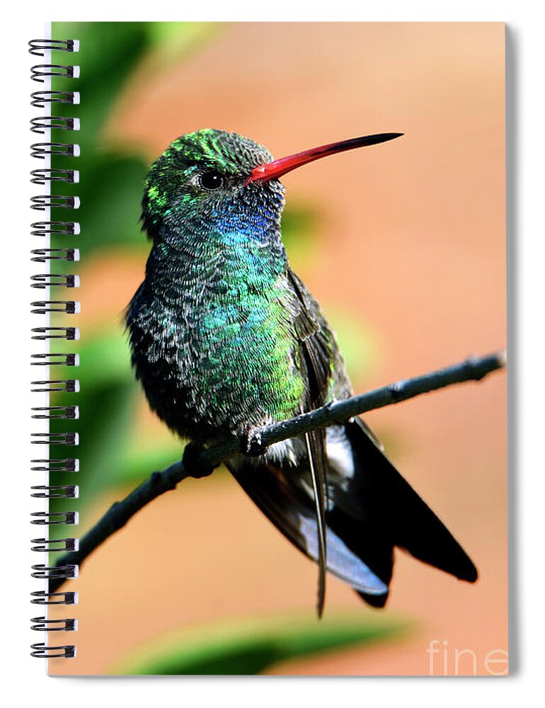 Denise Bruchman Photography Spiral Notebook featuring the photograph Desert Glitter by Denise Bruchman