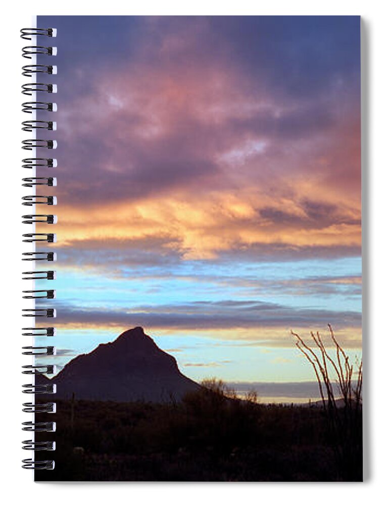 Saguaro Cactus Spiral Notebook featuring the photograph Desert Landscape by Kingwu
