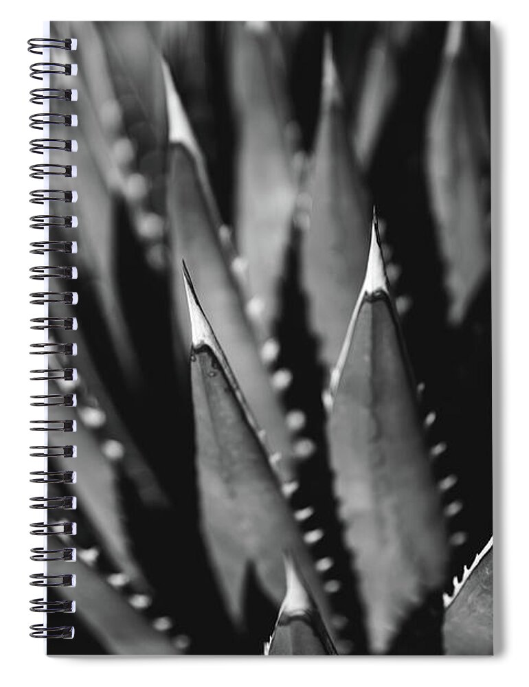 Agave Spiral Notebook featuring the photograph Desert Lines by Ryan Lima