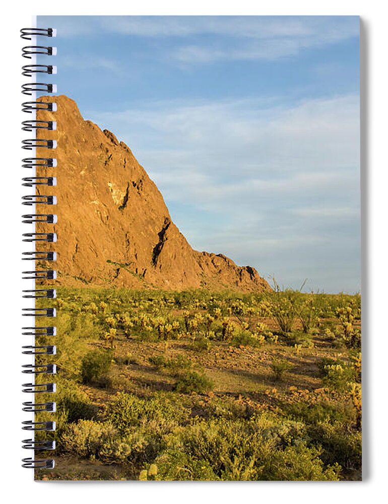 Geology Spiral Notebook featuring the photograph Desert Mountain Cactus Classic by Photo By Chris Lemmen Www.chrislemmenphotography.ca