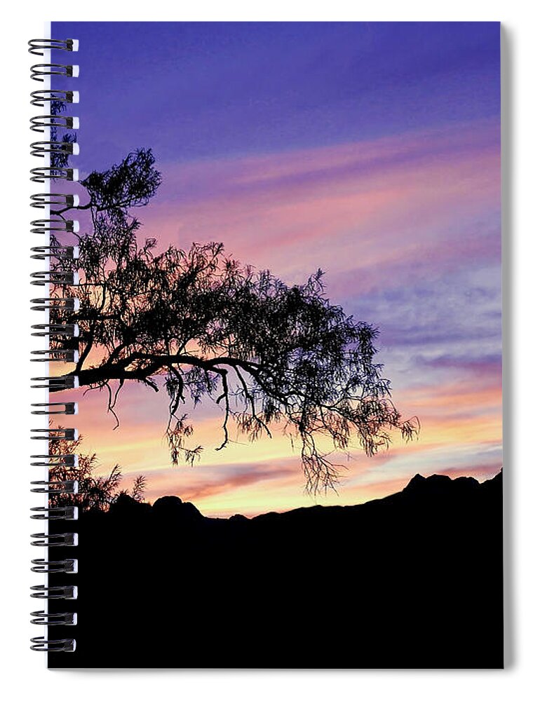Desert Spiral Notebook featuring the photograph Desert Tree at Twilight by Beth Myer Photography