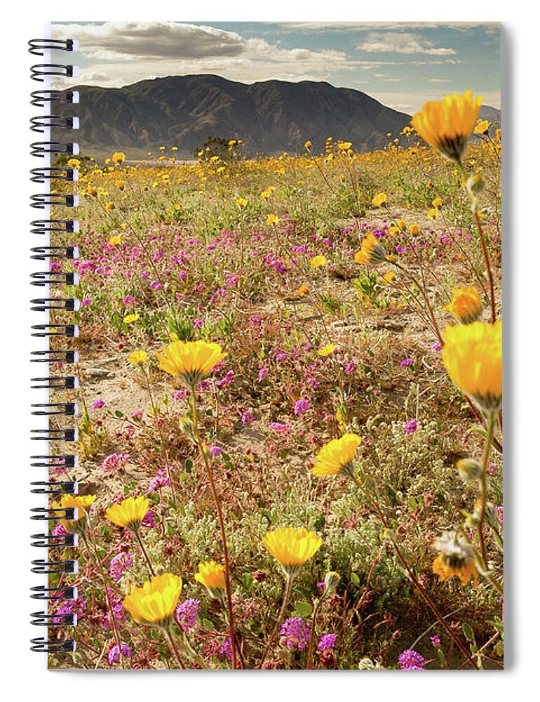 Flowers Spiral Notebook featuring the photograph Deset Bloom 2 by Ryan Weddle