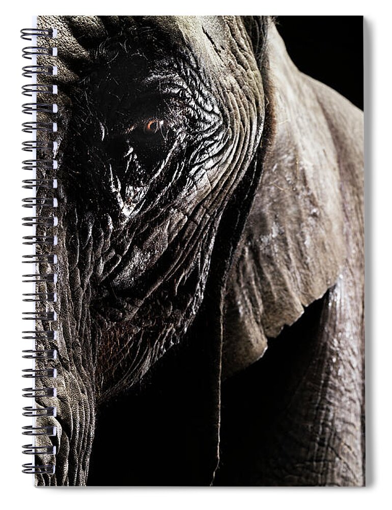 Animal Skin Spiral Notebook featuring the photograph Detail Of Elephant - Eye In Focus by Henrik Sorensen