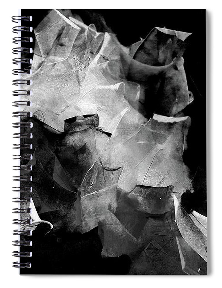 Diamond Spiral Notebook featuring the painting Diamond - blackand white abstract by Vesna Antic