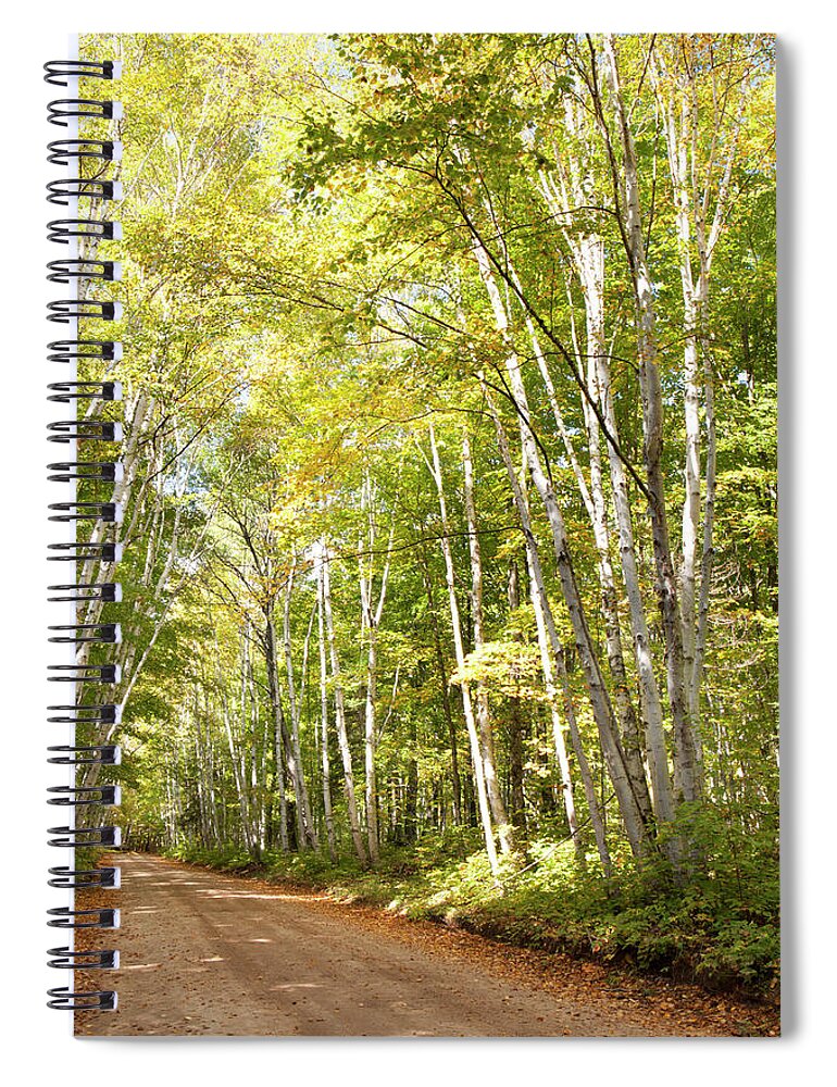 Season Spiral Notebook featuring the photograph Dirt Road Lined With Trees In Autumn by Susan Dykstra / Design Pics