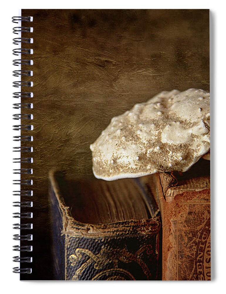 Discoveries Spiral Notebook featuring the photograph Discoveries by Cindi Ressler