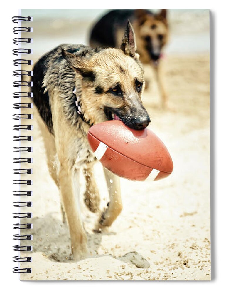 Pets Spiral Notebook featuring the photograph Dog Holding Ball In Mouth by R. Brandon Harris