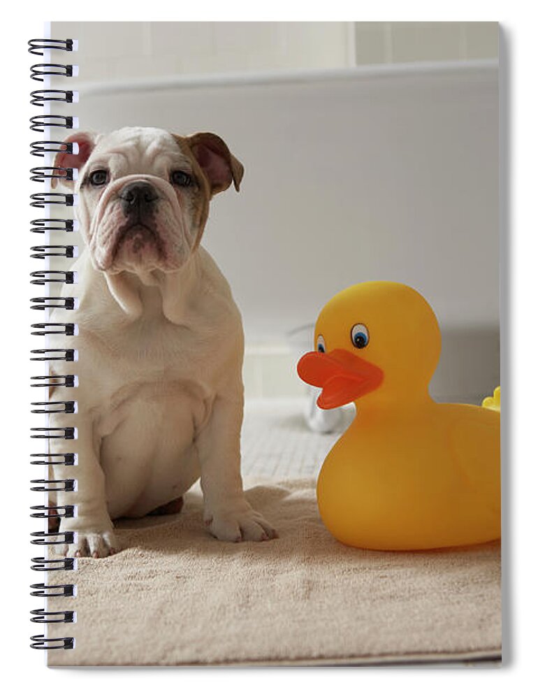 Pets Spiral Notebook featuring the photograph Dog On Mat With Plastic Duck by Chris Amaral