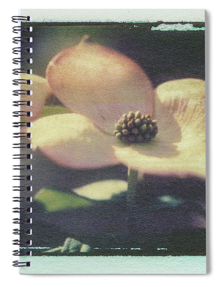 Abstract Spiral Notebook featuring the photograph Dogwood 1 by Joye Ardyn Durham