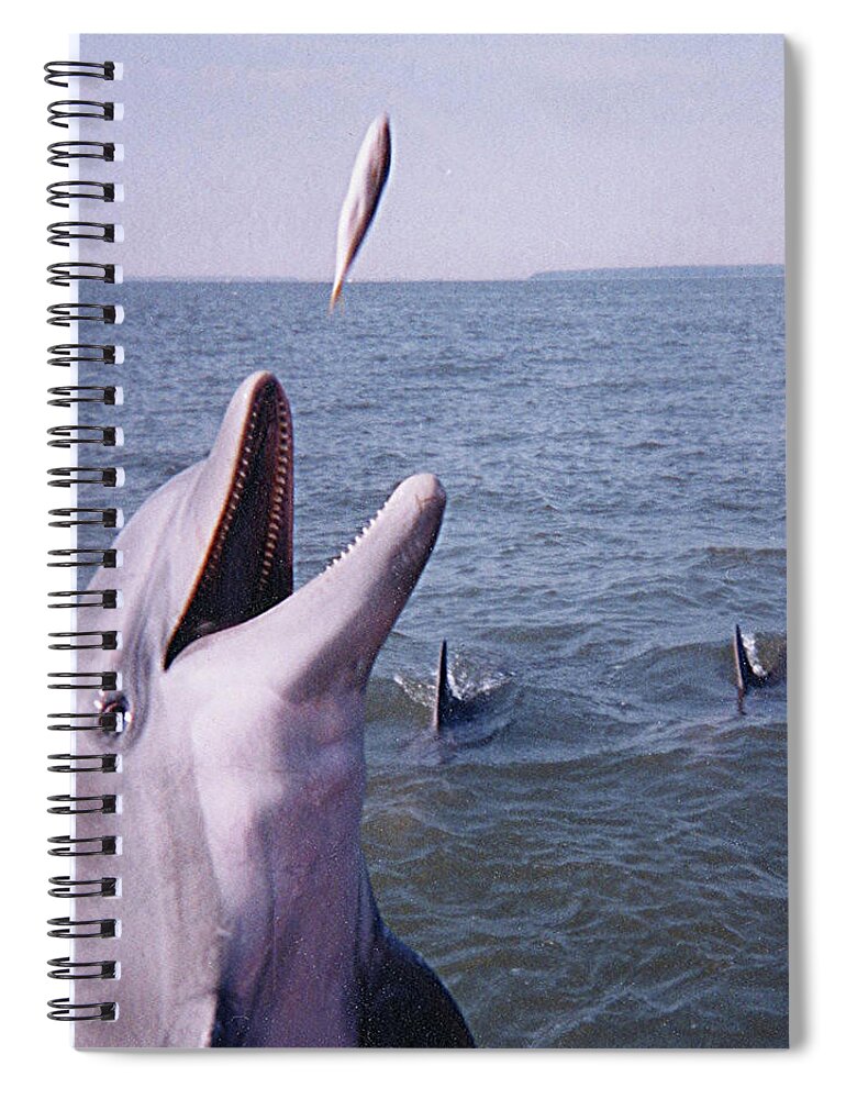 Dolphin Spiral Notebook featuring the photograph Dolphin Feeding by Jerry Griffin