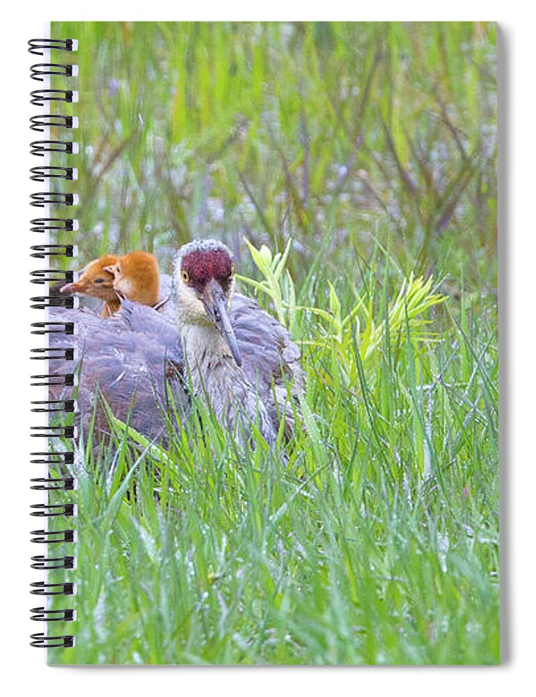 2019 Spiral Notebook featuring the photograph Double Down by Kevin Dietrich