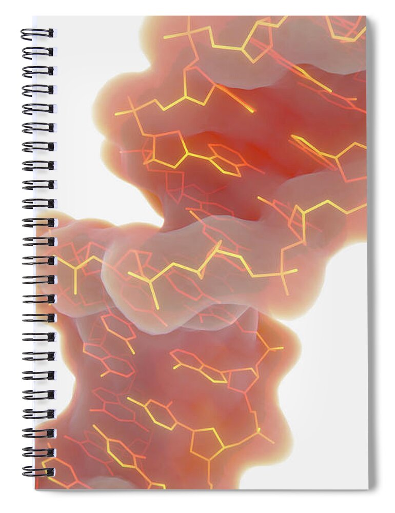 Antiparalell Spiral Notebook featuring the photograph Double Helix Structure Of Dna by Juan Gaertner