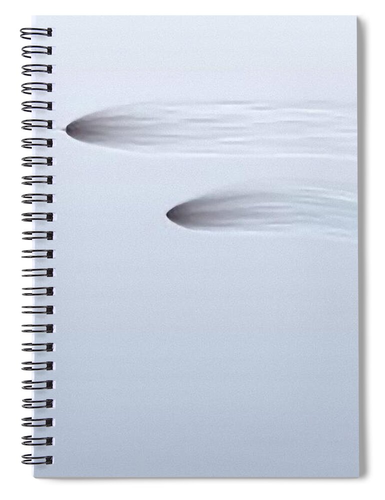 Blu Spiral Notebook featuring the painting Double Sign by Archangelus Gallery