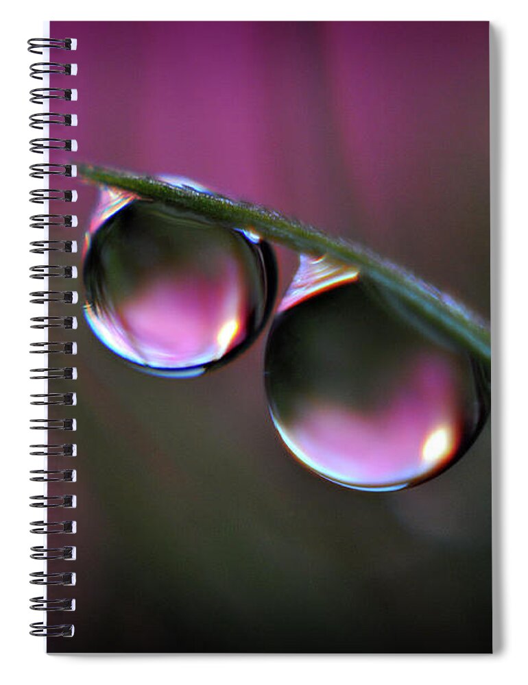 Water Drops Spiral Notebook featuring the photograph Double Trouble by Michelle Wermuth