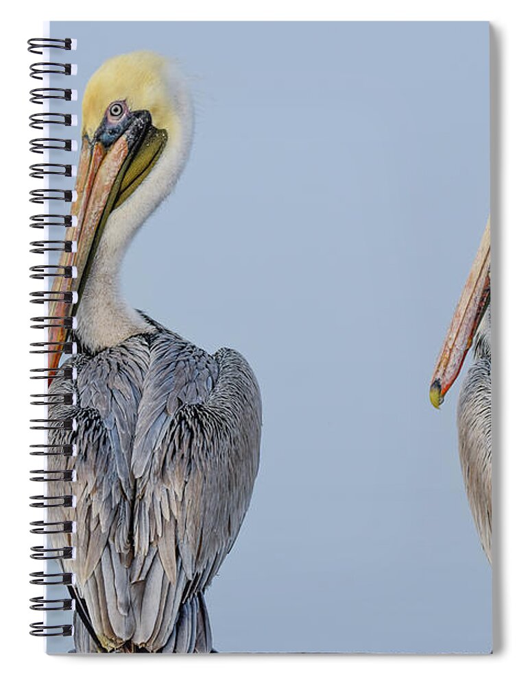 Brown Spiral Notebook featuring the photograph Double Your Fun by Christopher Rice