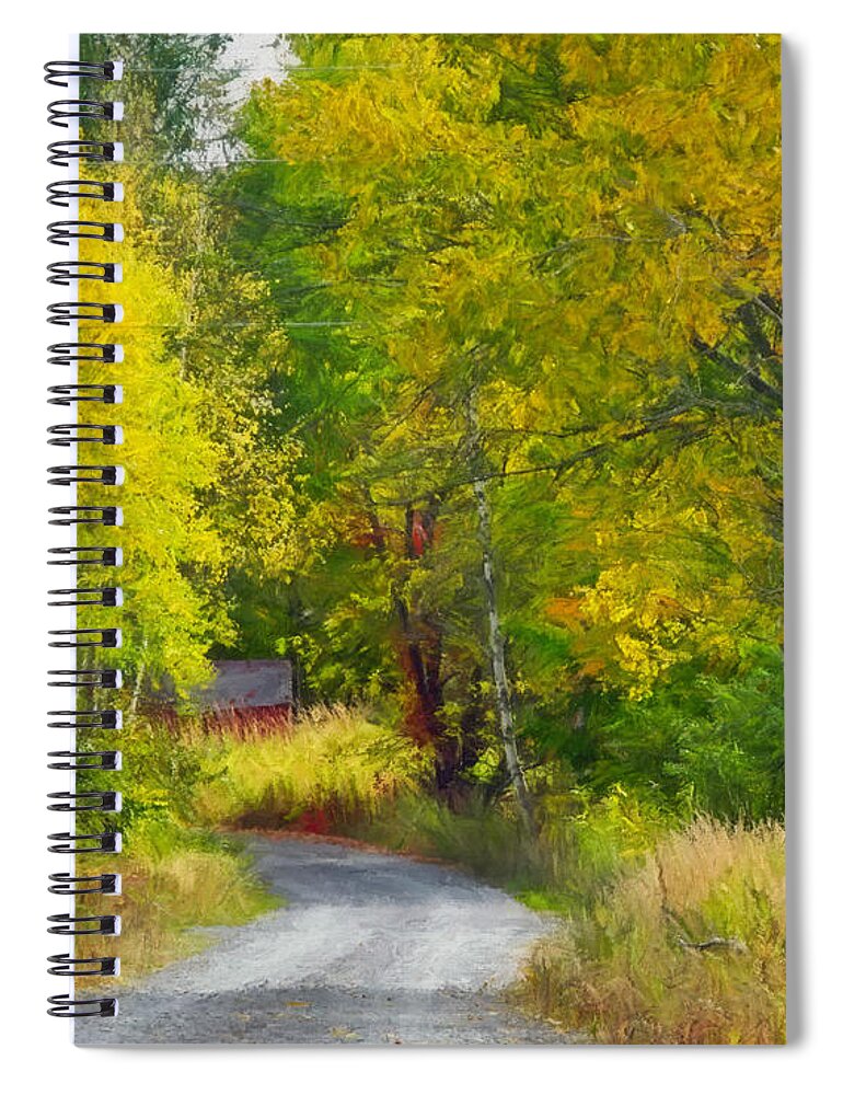 Country Road Spiral Notebook featuring the photograph Birch Lane by Carol Randall
