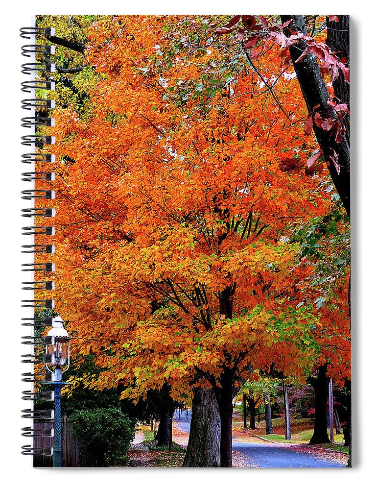 Autumn Spiral Notebook featuring the photograph Down The Avenue in Autumn by Linda Stern