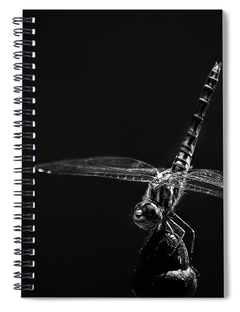 New Mexico Spiral Notebook featuring the photograph Dragon Fly by Becca Wohlwinder Photography