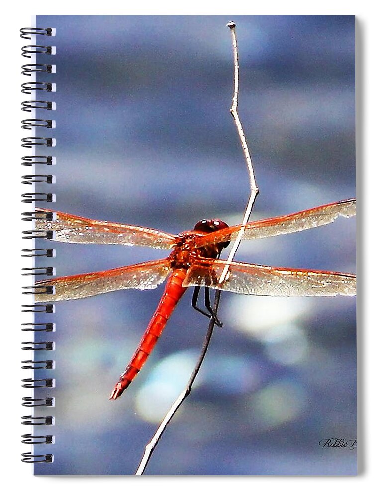 Dragofly Spiral Notebook featuring the photograph Dragon Fly by Philip And Robbie Bracco