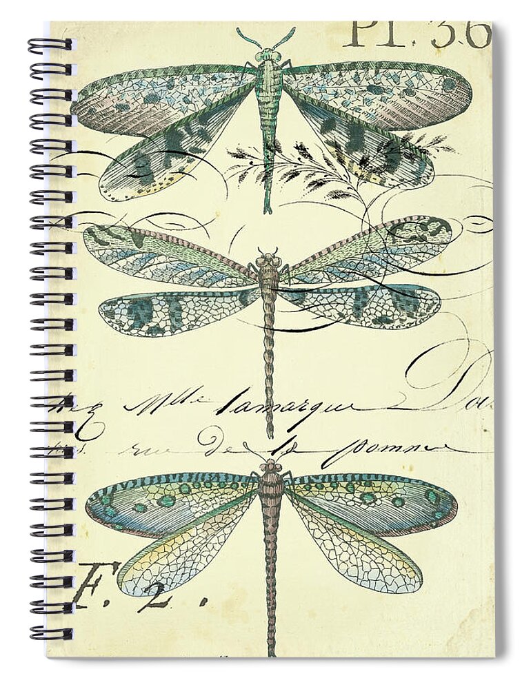 Decorative Spiral Notebook featuring the painting Dragonfly Ephemera II by Chariklia Zarris