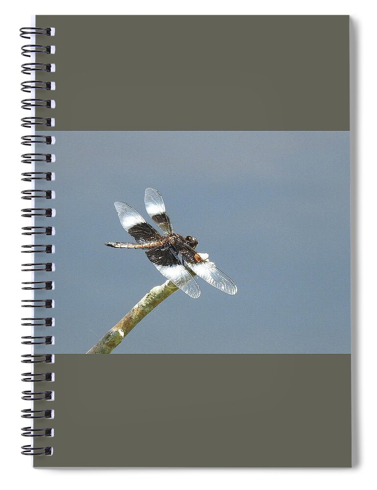 Dragonfly Spiral Notebook featuring the photograph Dragonfly by Kathy Ozzard Chism