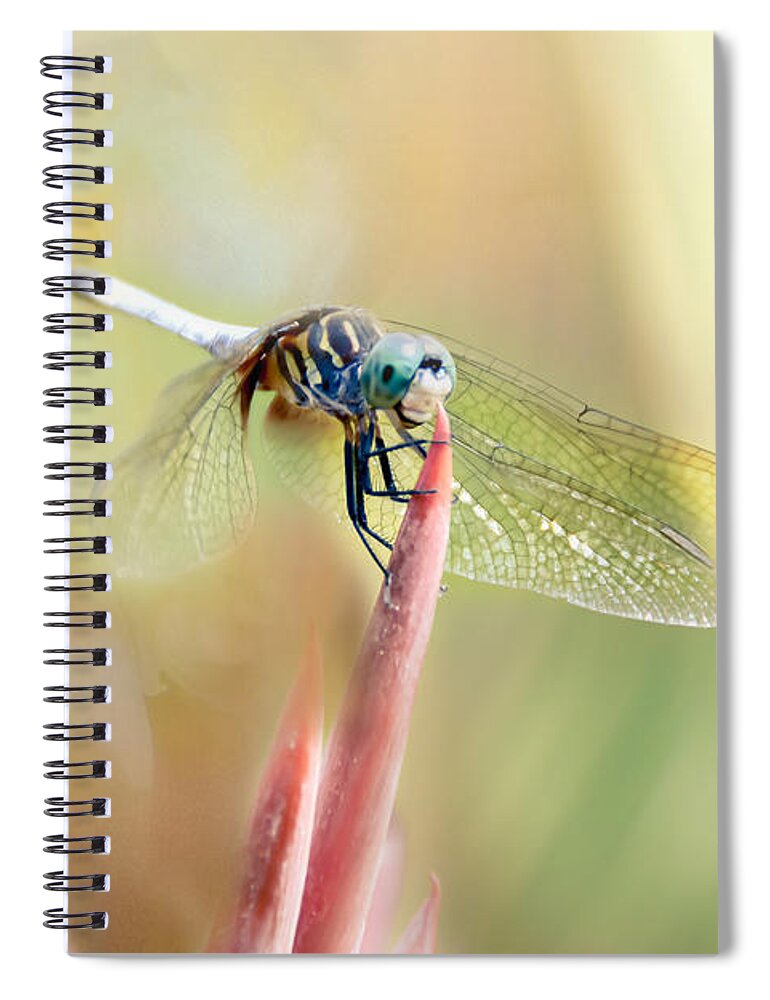 Dragonflies Spiral Notebook featuring the photograph Dragonfly Smiling by Peggy Franz