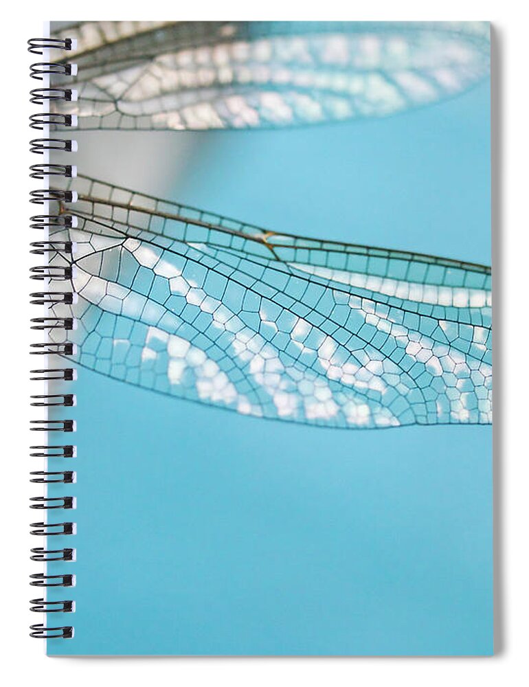 Insect Spiral Notebook featuring the photograph Dragonfly Wing by Laszlo Podor