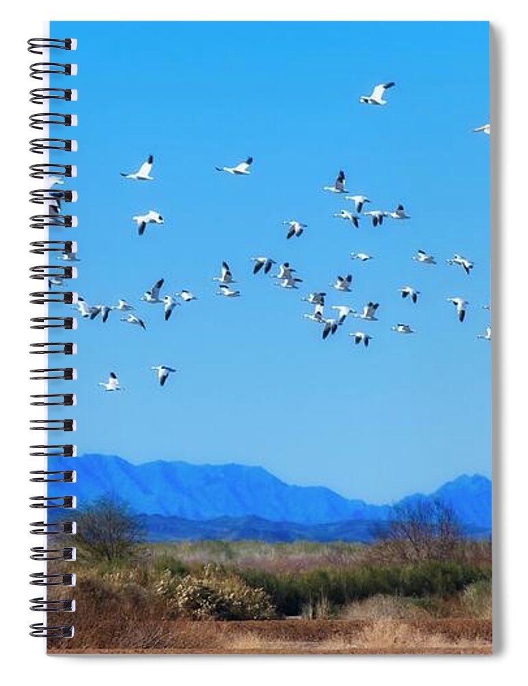 Landscape Spiral Notebook featuring the photograph Dream Geese by Allan Van Gasbeck