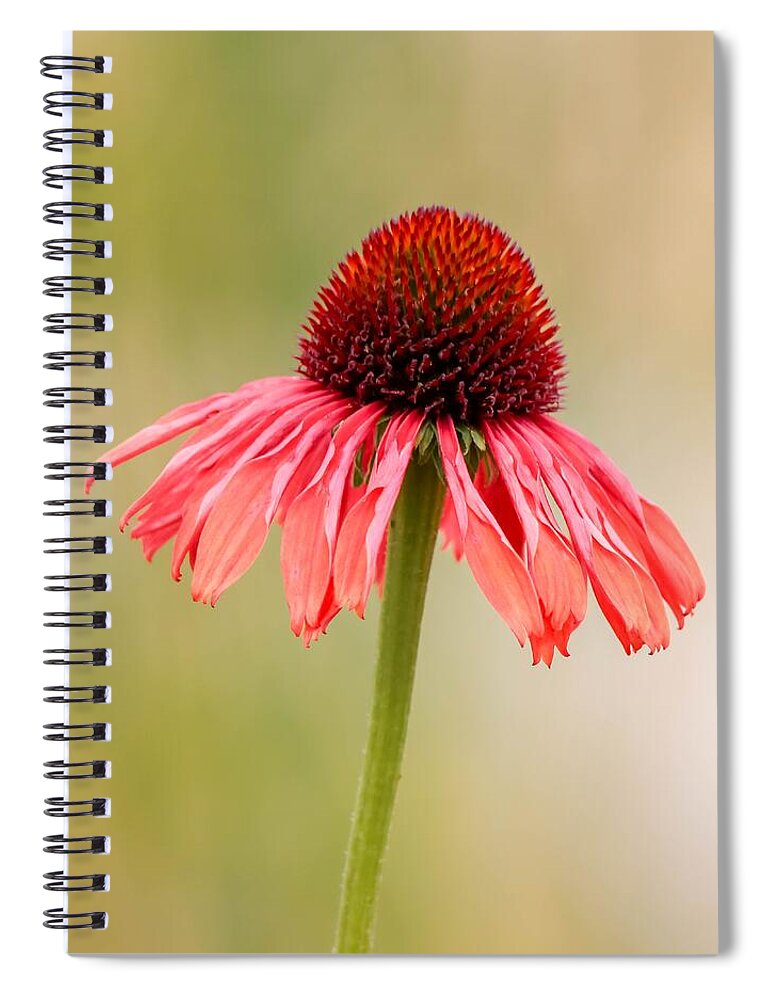 Close-up Spiral Notebook featuring the photograph Dreaming by Susan Rydberg