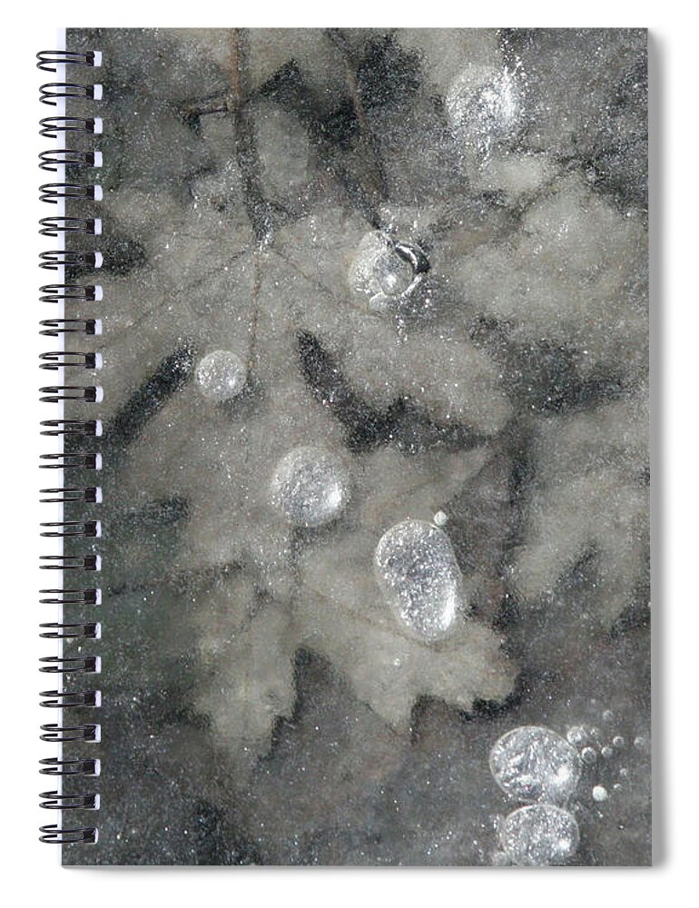 Leaf Spiral Notebook featuring the photograph Dreamy Leaves-XIX by Patricia Overmoyer