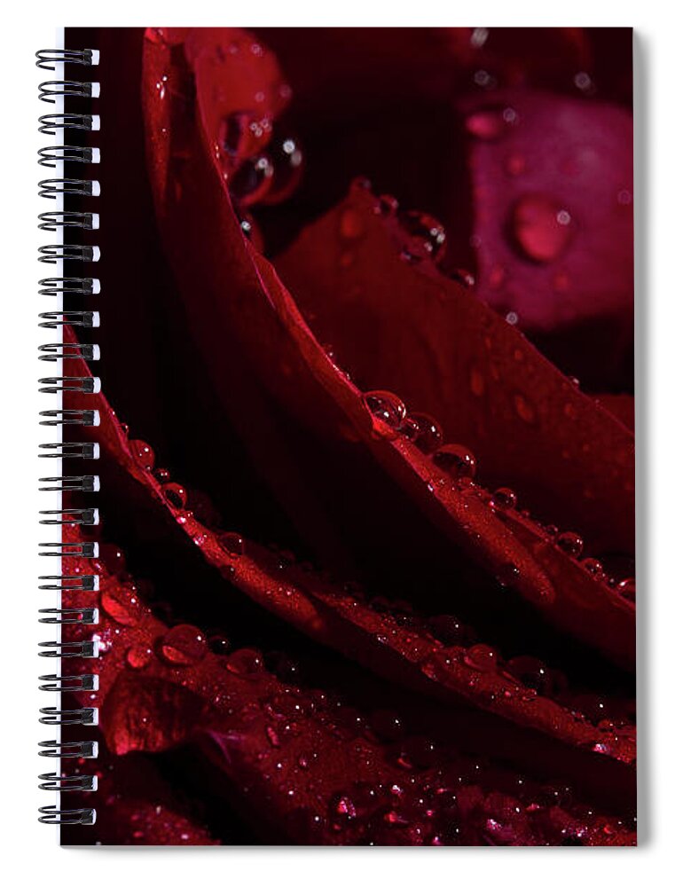 Rose Spiral Notebook featuring the photograph Droplets On The Edge by Mike Eingle